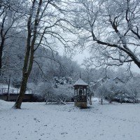 ojcowski-park-narodowy-zwidzanie (1)