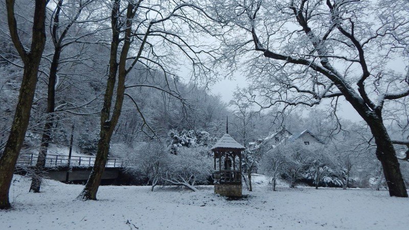 ojcowski-park-narodowy-zwidzanie (1)