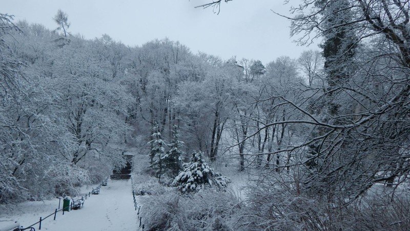 ojcowski-park-narodowy-zwidzanie (6)