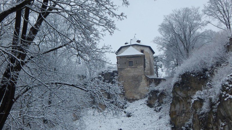 ojcowski-park-narodowy-zwidzanie (7)