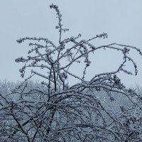 ojcowski-park-narodowy-zwidzanie (8)