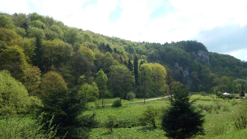 PArk narodowy w Ojcowie