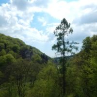 Przewodnik po Parku w Ojcowie