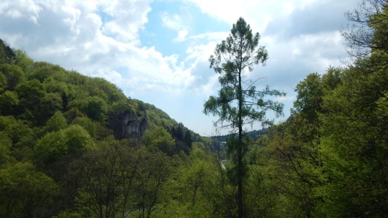 Przewodnik po Parku w Ojcowie
