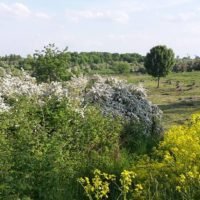 Galeria Obozu Kraków Płaszów