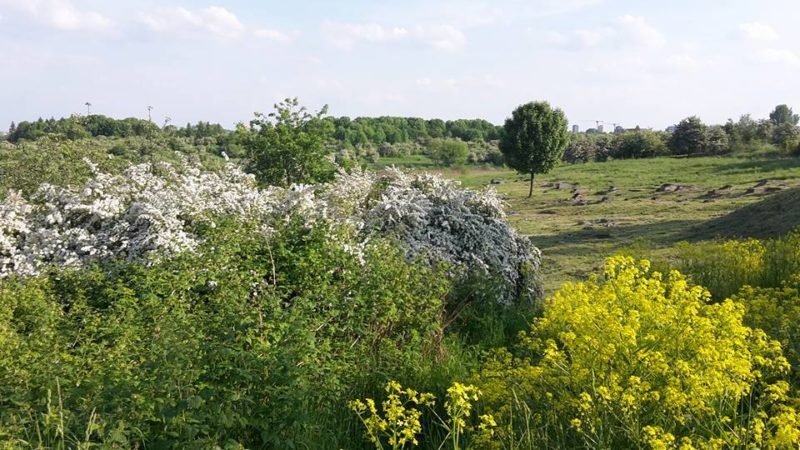Galeria Obozu Kraków Płaszów