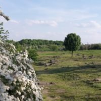 Płaszów zwiedzanie z przewodnikiem