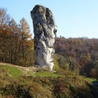 pieskowa skała maczuga latem