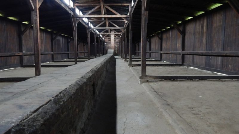 Birkenau z przewodnikiem