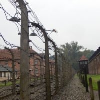 Galeria Muzeum Auschwitz