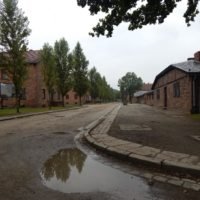 Auschwitz z przewodnikiem