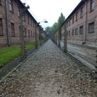 Auschwitz codzinność