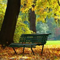 jesien - park jordana w krakowie