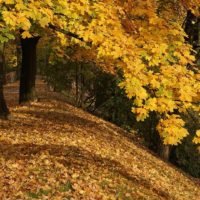 jesien park podgórski