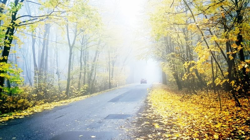 Ojców - droga dojazdowa