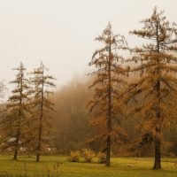 przewodnik po ojcowie