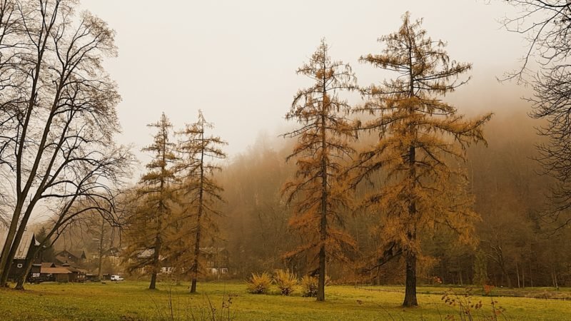 przewodnik po ojcowie