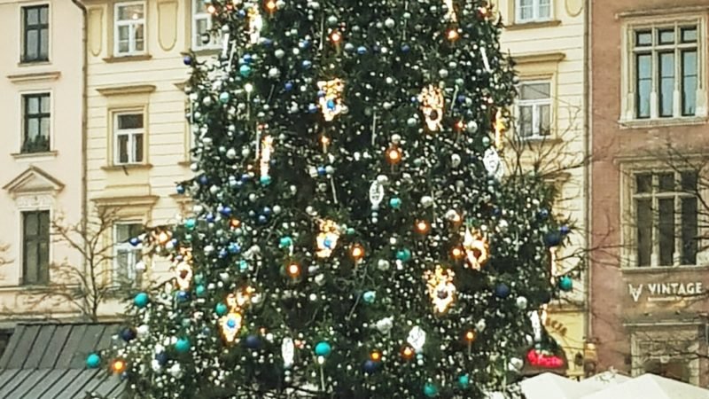 Choinka na Rynku w Krakowie